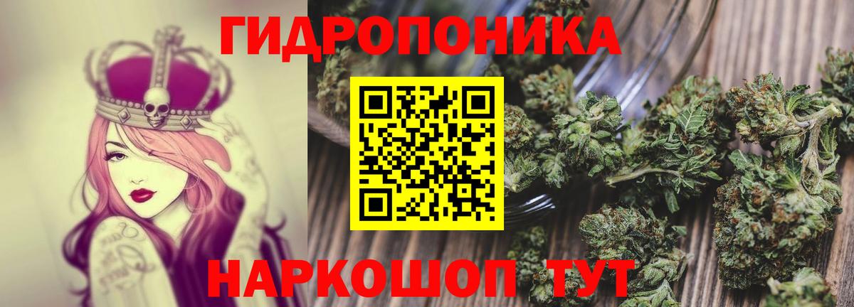 Канабис Amnesia  Шишки марихуана SATIVA & INDICA  Отрадный  Конопля OG Kush  Вход с VPN  Конопля Ganja 